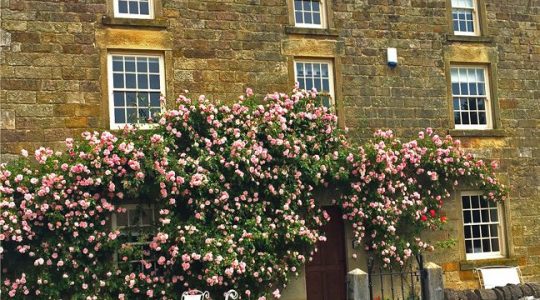 Exterior of Shiningford Manor